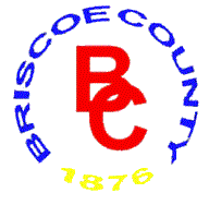 BriscoeCounty Seal