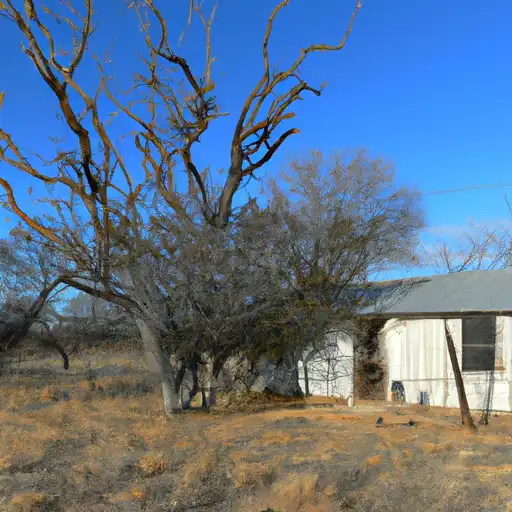 Rural homes in Shackelford, Texas