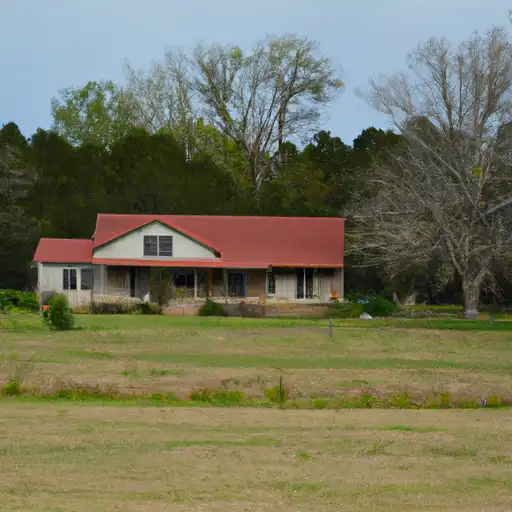 Rural homes in Walker, Texas