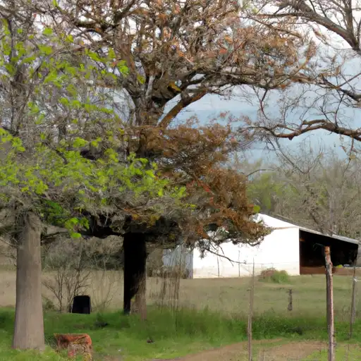 Rural homes in Wharton, Texas