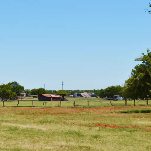 Rural homes in Young, Texas