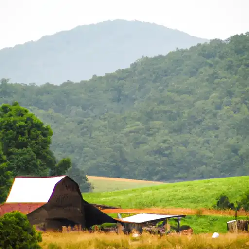 Rural homes in Buchanan, Virginia