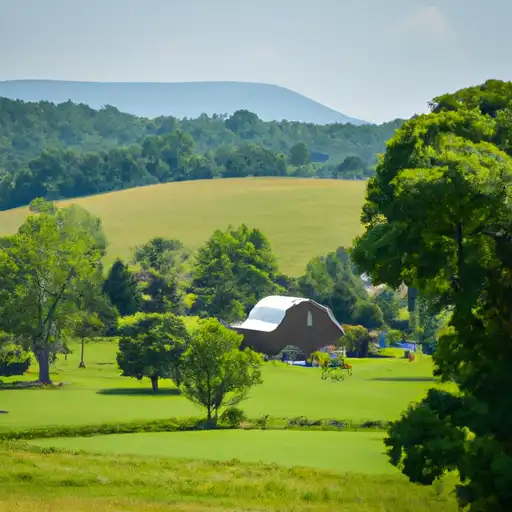 Rural homes in Floyd, Virginia