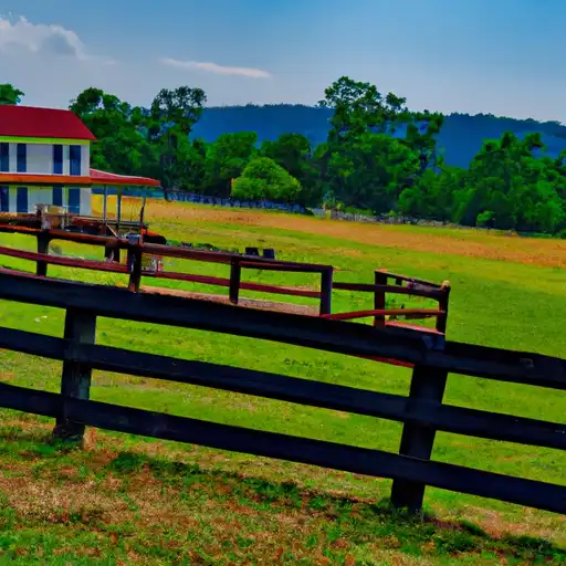 Rural homes in Nelson, Virginia