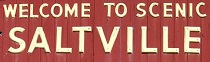 City Logo for Saltville