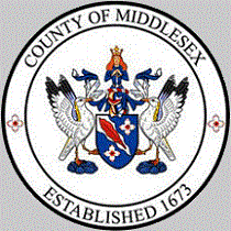 County Level Logo