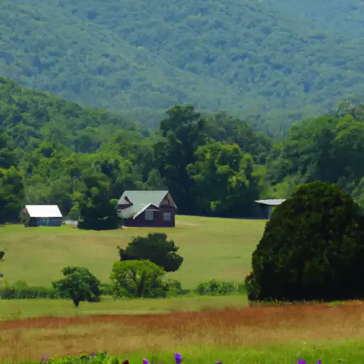 Rural homes in Shenandoah, Virginia