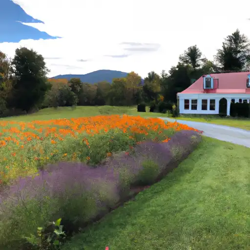 Rural homes in Orange, Vermont