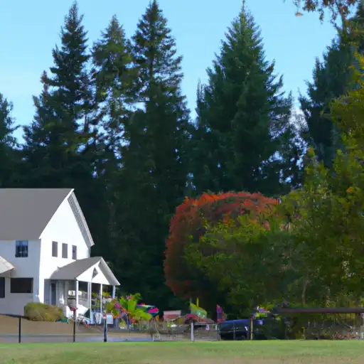 Rural homes in Cowlitz, Washington