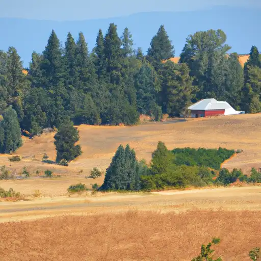 Rural homes in Douglas, Washington