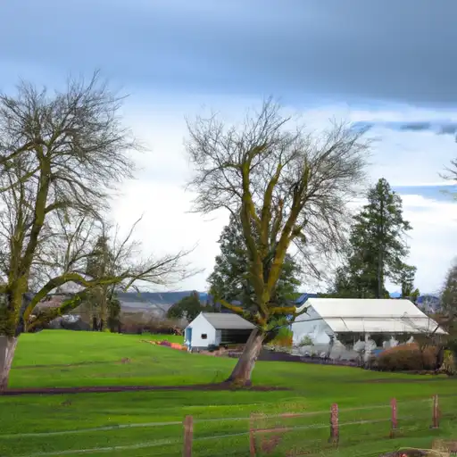 Rural homes in Pierce, Washington
