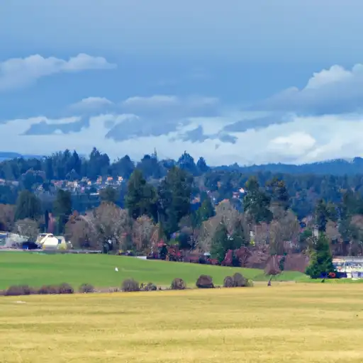 Rural homes in Thurston, Washington