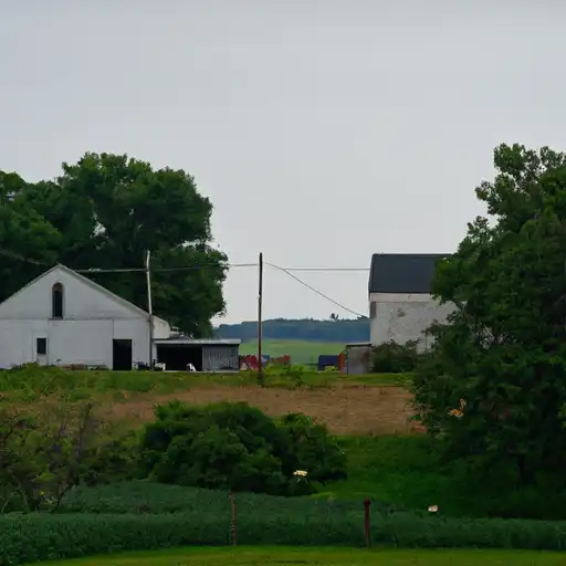Rural homes in Lafayette, Wisconsin