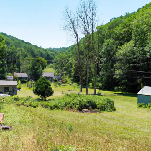 Rural homes in Mineral, West Virginia