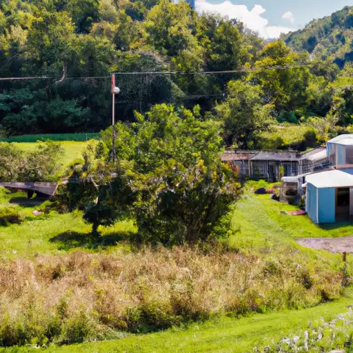 Rural homes in Pocahontas, West Virginia