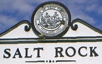 City Logo for Salt_Rock