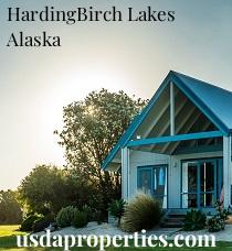 Default City Image for Harding-Birch_Lakes