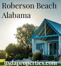 Default City Image for Roberson_Beach