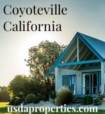 Default City Image for Coyoteville
