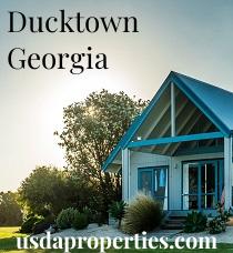 Default City Image for Ducktown