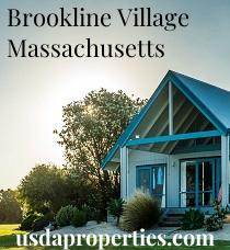 Brookline_Village