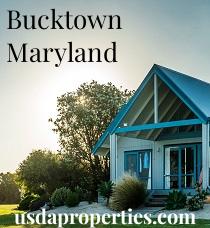 Default City Image for Bucktown