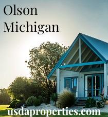 Default City Image for Olson