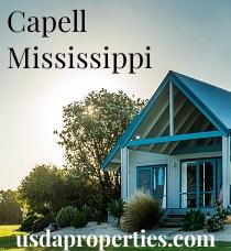 Default City Image for Capell