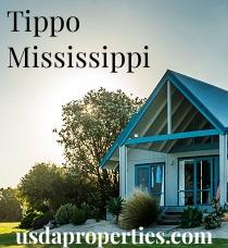 Default City Image for Tippo