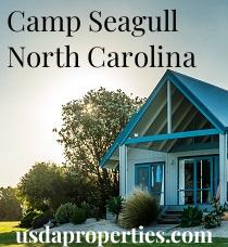 Default City Image for Camp_Seagull