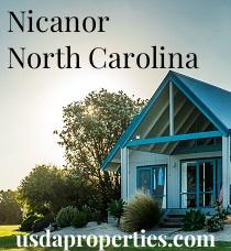 Default City Image for Nicanor