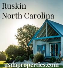 Default City Image for Ruskin