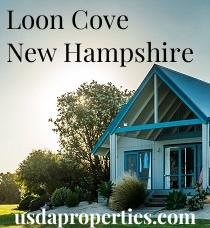Default City Image for Loon_Cove