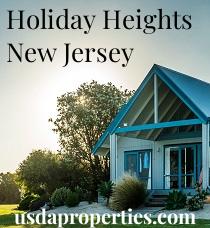 Default City Image for Holiday_Heights