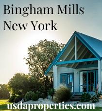 Default City Image for Bingham_Mills