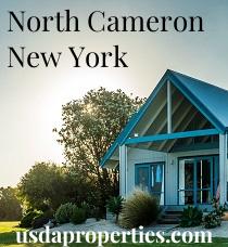 Default City Image for North_Cameron