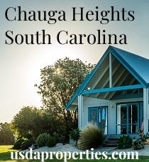 Default City Image for Chauga_Heights