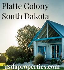 Default City Image for Platte_Colony
