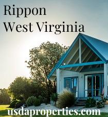 Default City Image for Rippon