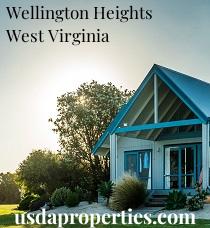 Default City Image for Wellington_Heights