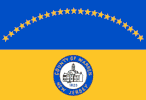 County Flag