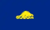 Oregon State Flag Backside